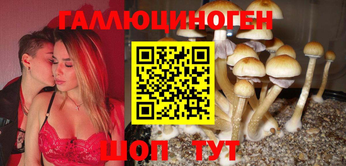 Псилоцибиновые грибы ЛСД Кулебаки