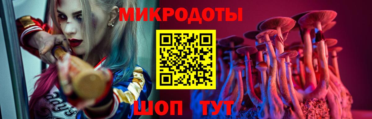 Псилоцибиновые грибы прущие грибы  Вход с VPN  Кулебаки 
